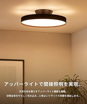 Amazon.co.jp : アートワークスタジオ グロー 6000 LED